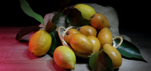 medlar