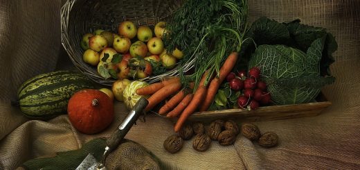 discover the essentials of nutrition with our comprehensive guide. learn about balanced diets, essential nutrients, and healthy eating habits to improve your overall well-being. get tips, recipes, and insights to fuel your body and mind effectively.